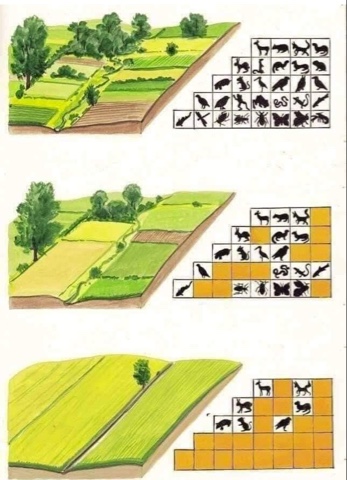 image 28 05 24 11 42